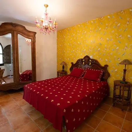 In Center * Marbella